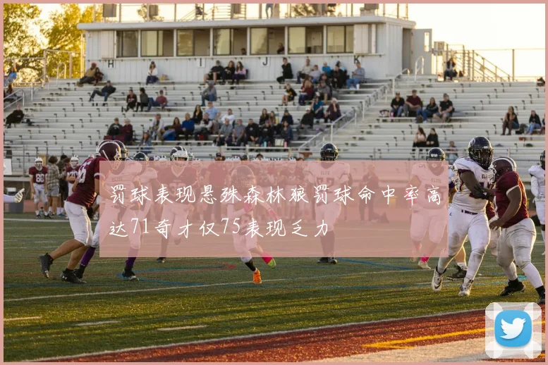 罚球表现悬殊森林狼罚球命中率高达71奇才仅75表现乏力