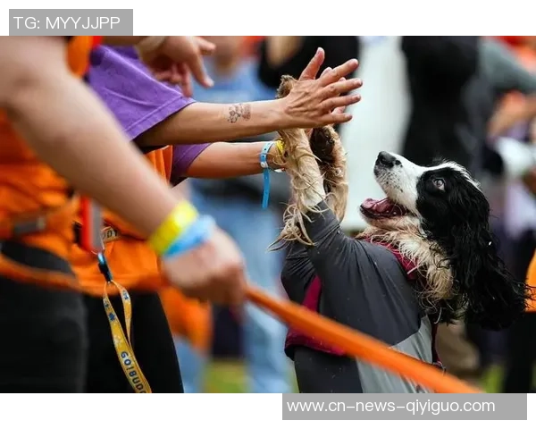 马克西携爱犬挑战敏捷赛道现场观众热情高涨达15000人